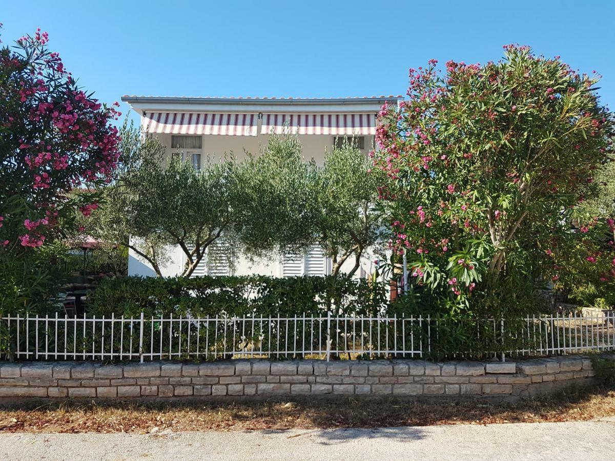 Apartman Roko Petrčane Zewnętrze zdjęcie